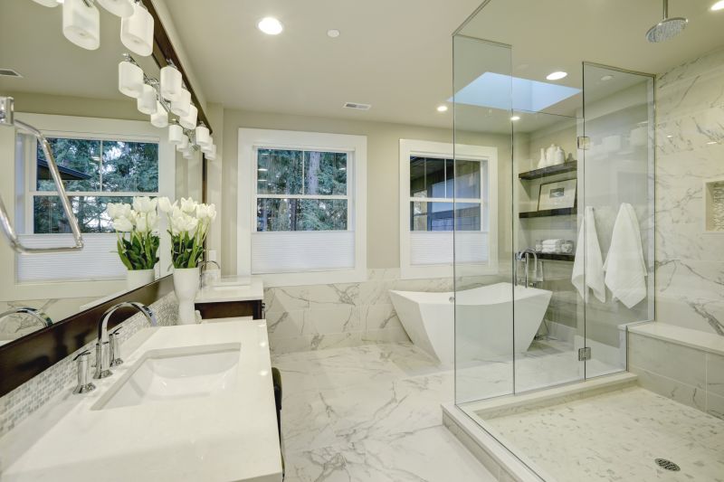 Luxurious Master Bathroom Setup